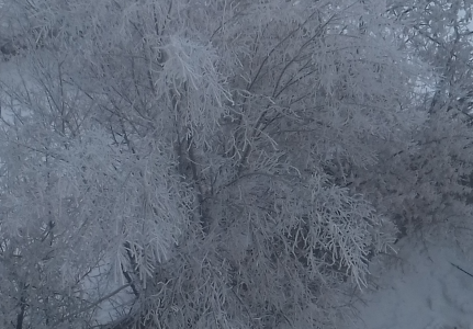 Audrey_Aura iced shackles Immagine  2