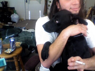 free od CapybaraDeWanderer  snímek