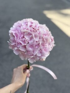 Adell_Love 💅🏻💐☕️ Pic