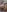 ALISSON_FOXXX1 My hot body in the shower 🥵🔥💦 Pic 4