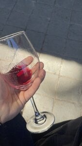 Mrjustin_sebas Exploring chili and its wines 🍷🍇 . fénykép