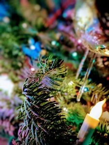 faithfulchic Christmas Pic 9