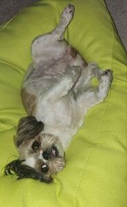 SophiaPotts Part of me صورة واحدة|SophiaPotts Part of me صورتان|SophiaPotts Part of me  9 صور|SophiaPotts Part of me  9 صورة