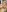 boy sexy de Stefania-1812  Imagens