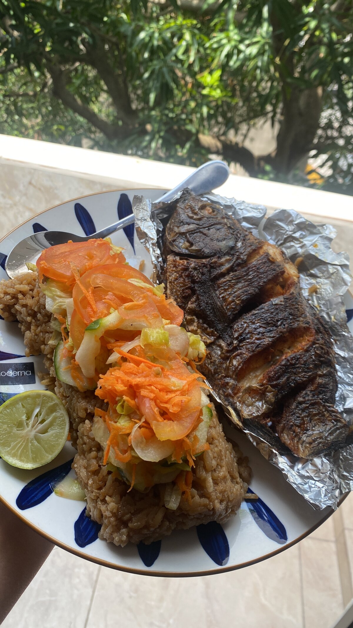 EvanVelvet Foto en Tendencia 482