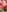 Kanika_9_ Bikini tease 🥵😈 Pic 3