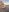 Mr_evan1 Sunset Naked and Hard 사진 3