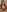 Ragdoll131 Black love set - try on 🖤 Pic 8