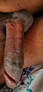 House_of_Pleasure_ZA kullanıcısının Dickcting albümü -  3 fotoğraf