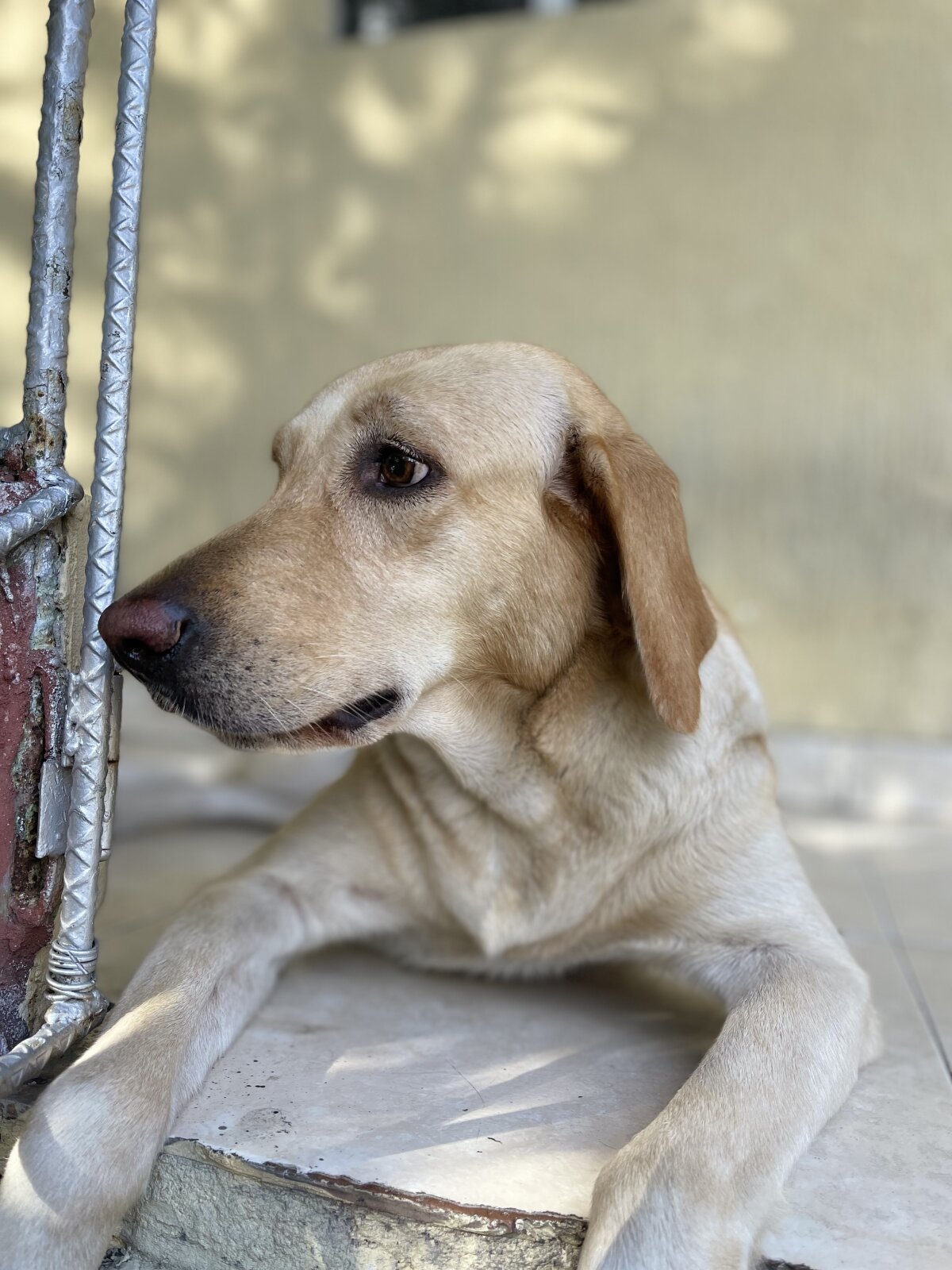 Naughty_Charly Δημοφιλής εικόνα 6833