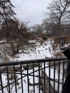 zevellez Views & Places Pic