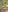 ms_journey_winfrey_ Country milf topless country favs pics Pic 7