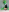 shanon_hughes_ Saint Patrick🍀 Pic 2