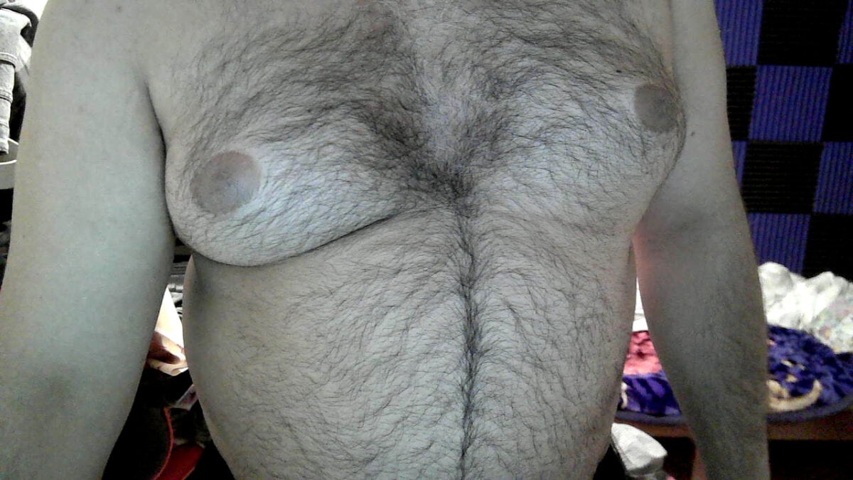 Bear_1985 избранные изображения 1450