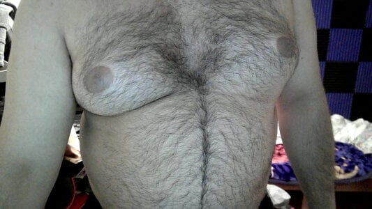 Bear_1985 Public зображення