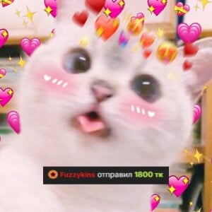 MaryNixon_ My KINGS 👑 Poză 5