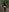 _Monic_ Naked monica in the woods Pic 3
