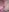YourJuliena Creamy pussy during game 😈💧🥵 Pic 5