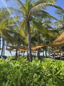 AnitaOwens Vietnam Pic 7