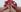TriLesbianPaola and Violet feet照片 6