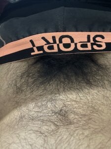 tropicalpied Public Gambar