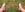 Capucine-Sexprime SUITE PIEDS DANS L HERBE / FEET ON GRASS Photo 2