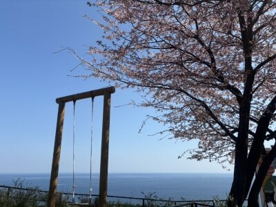 ERI_0000 kullanıcısının 🤍 albümü -  2 fotoğraf