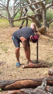 Daax_21 At the Farm ( en la granja) Pic 2