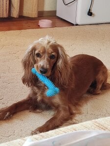 CyberMia My important part of life Pic 6