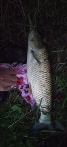 Pavlosss Public Bilde 7