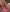 Tiger_Lilly69 😈 Photo 5