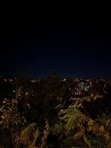 luna_berryy One day in my life 😉🐾 Pic 2