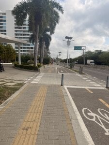 Sophia_wilsonn_ This is also Colombia Immagine  6