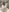 School_Teachのdress and titsの 4枚の写真