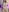 ✨❤️ de bigbooty-30 Fotos 3