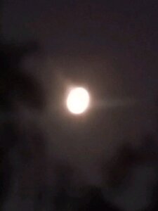 Jbrana1122 Public Pic