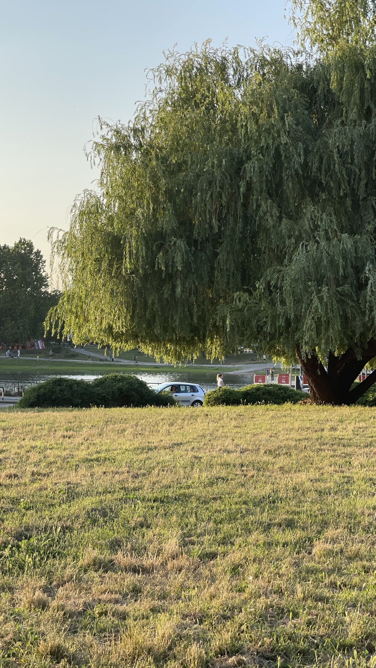 imadri Populært foto 1789