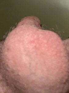 kozanbaba Public 圖片 4