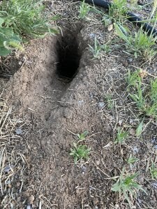 Inches_のDick picの 6枚の写真