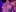 baby_lesi Nipples play Pic 2