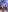 Cruel_Alice Alice in Winterwonderland 사진 9