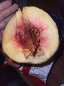 ali_za88 hungry Pic 3