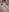 Ashley_Nicks Naked Pic