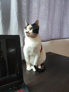 DakotaCandy my sweet babies Pic 2