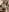 GingerSnap33 Live Stream Pictures Pic 4