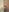 Courtney_gonet Ur blonde dream Pic 5
