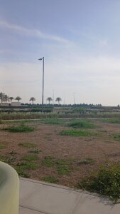 the_leader_1984 Public 圖片