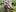 _Soo_dreamy_Elf's Feet on a Mossy Tree图片 2