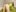 BeckyDwinellのDo you like doggy style?の 3枚の写真