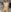 anli5 Nudes Pic 8